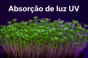 Dicas para Melhorar a Absorção de Luz UV Pelos Microverdes