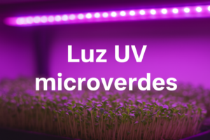 Por Que a Luz UV Não Está Acelerando o Crescimento dos Microverdes